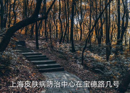 上海皮膚病防治中心在寶德路幾號