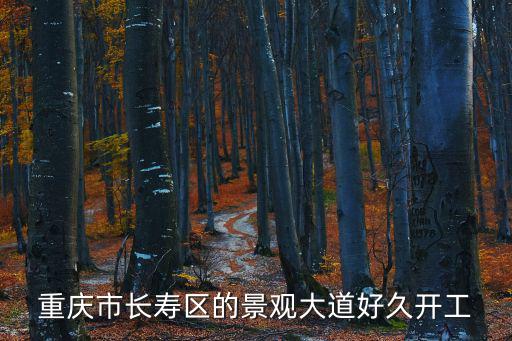 重慶市長壽區的景觀大道好久開工