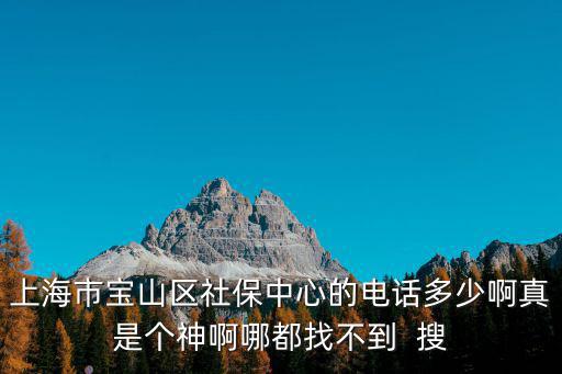 上海市寶山區社保中心的電話多少啊真是個神啊哪都找不到  搜