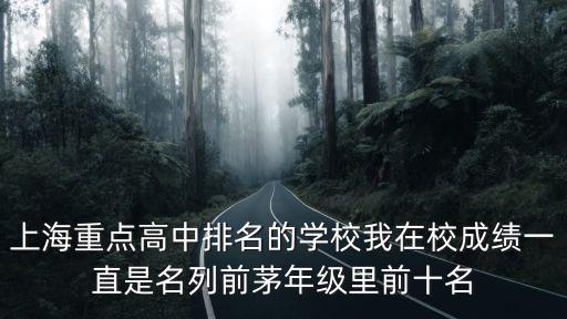 上海重點(diǎn)高中排名的學(xué)校我在校成績一直是名列前茅年級(jí)里前十名