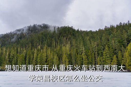 想知道重慶市 從重慶火車站到西南大學(xué)榮昌校區(qū)怎么坐公交