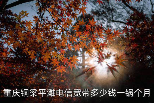 重慶銅梁平灘電信寬帶多少錢一鍋個月