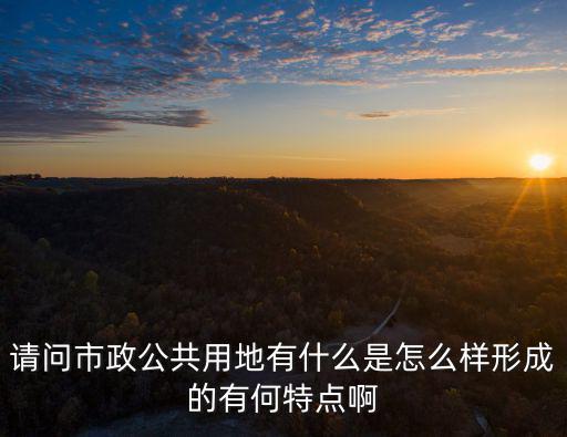 請問市政公共用地有什么是怎么樣形成的有何特點啊
