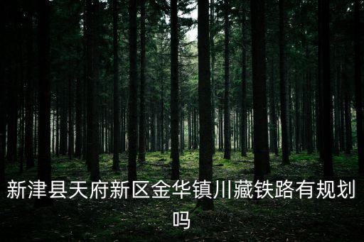 新津縣天府新區金華鎮川藏鐵路有規劃嗎