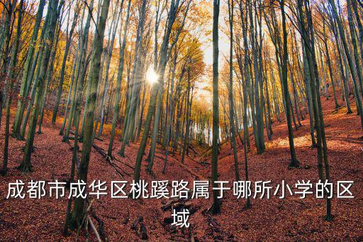成都市成華區桃蹊路屬于哪所小學的區域