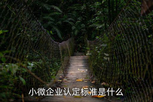小微企業(yè)認(rèn)定標(biāo)準(zhǔn)是什么