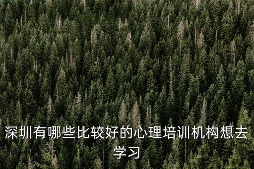 深圳有哪些比較好的心理培訓(xùn)機(jī)構(gòu)想去學(xué)習(xí)