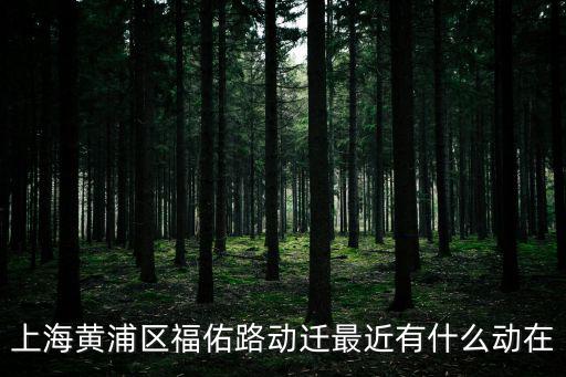 上海黃浦區福佑路動遷最近有什么動在