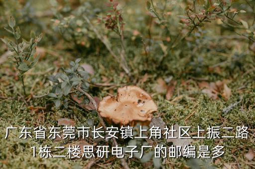 廣東省東莞市長安鎮上角社區上振二路1棟二樓思研電子廠的郵編是多