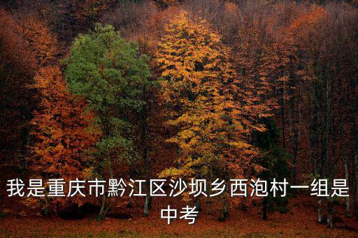 我是重慶市黔江區沙壩鄉西泡村一組是中考
