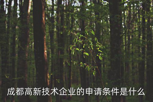 成都高新技術企業的申請條件是什么