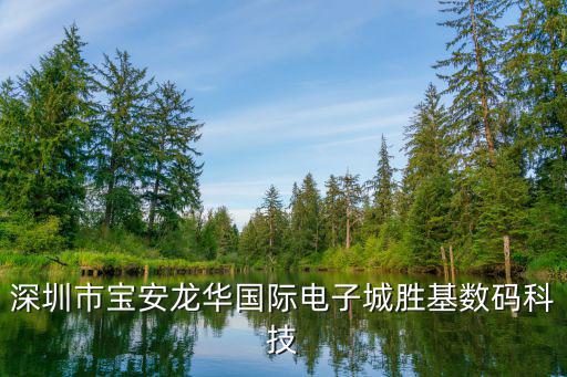 深圳市寶安龍華國際電子城勝基數碼科技