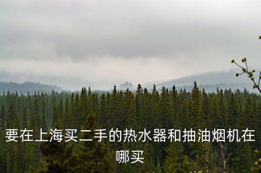要在上海買二手的熱水器和抽油煙機在哪買