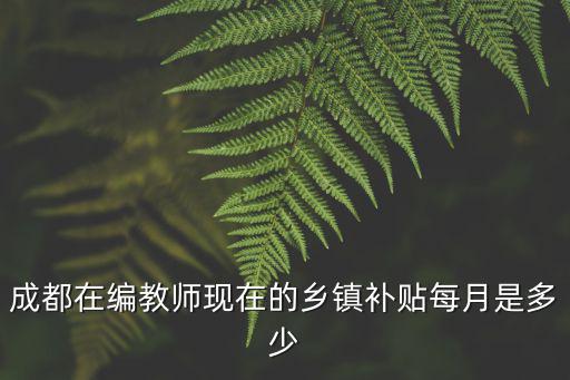成都在編教師現在的鄉鎮補貼每月是多少