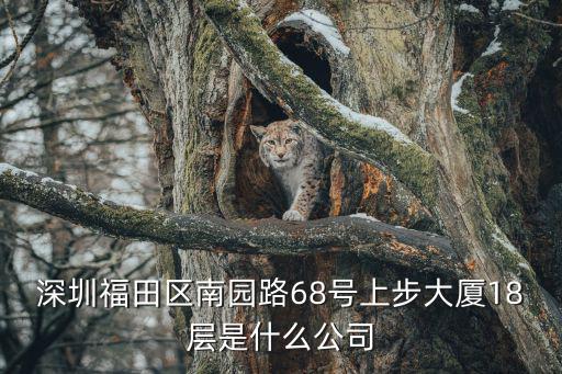 深圳福田千味涮，廣東省深圳市福田區福民路78號是什么店