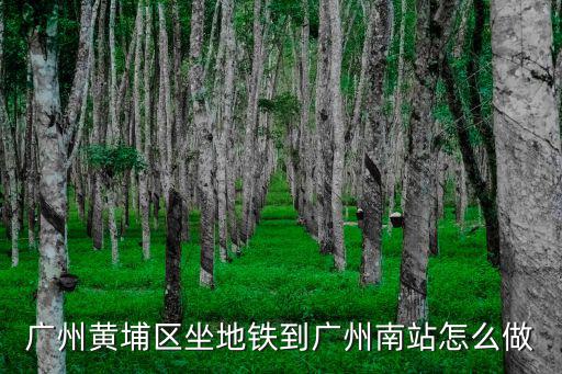 廣州黃埔區坐地鐵到廣州南站怎么做