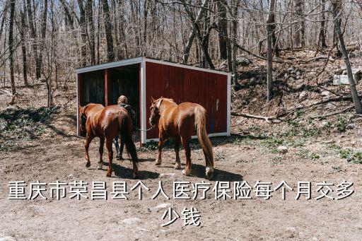 重慶市榮昌區(qū)金融辦主任，重慶市榮昌縣那里有賣(mài)內(nèi)增高鞋墊