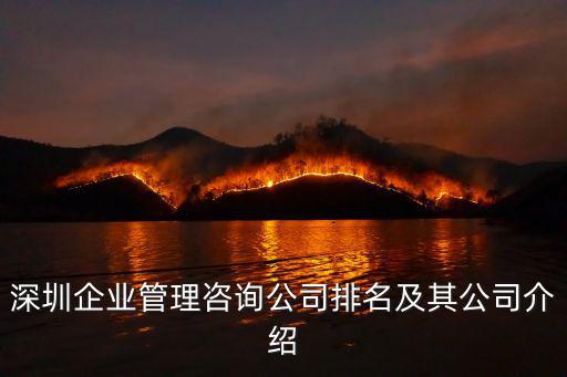 深圳正林企業管理咨詢，深圳市鑫陽企業管理咨詢有限公司怎樣實力可以嗎