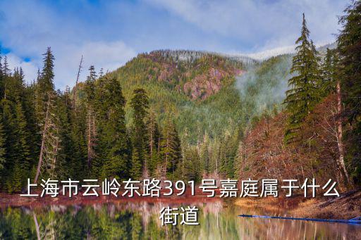 上海市云嶺東路391號嘉庭屬于什么街道