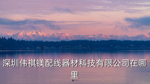深圳偉艾鵬科技有限公司，深圳偉祺鎂配線器材科技有限公司在哪里