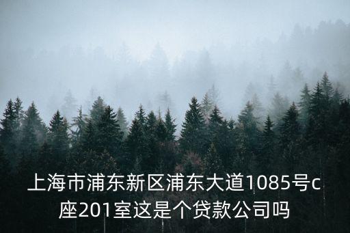 上海市浦東新區(qū)浦東大道1085號(hào)c座201室這是個(gè)貸款公司嗎