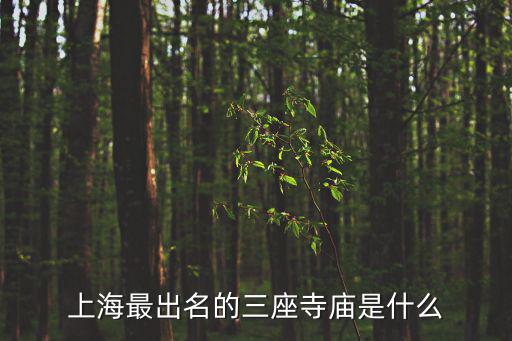 上海市的廟宇，上海有多少各寺廟