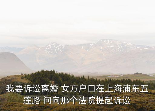 我要訴訟離婚 女方戶口在上海浦東五蓮路 問向那個法院提起訴訟