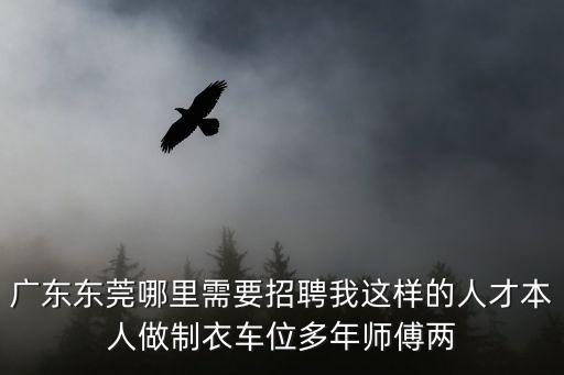 廣東東莞哪里需要招聘我這樣的人才本人做制衣車位多年師傅兩
