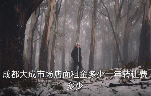 成都大成市場店面租金多少一年轉讓費多少