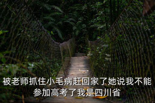 被老師抓住小毛病趕回家了她說我不能參加高考了我是四川省