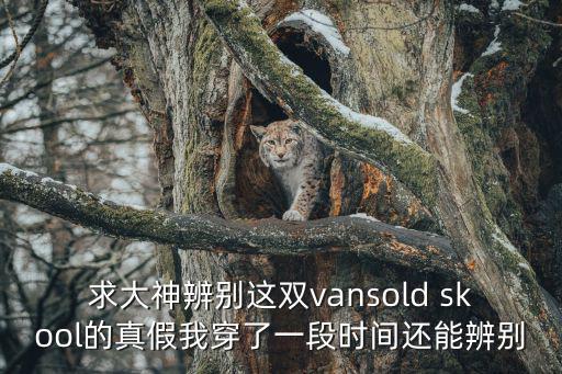 求大神辨別這雙vansold skool的真假我穿了一段時間還能辨別