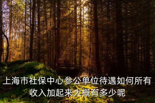 上海市社保中心參公單位待遇如何所有收入加起來(lái)大概有多少呢