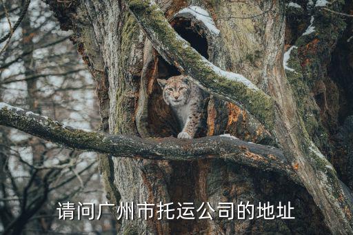 請問廣州市托運公司的地址