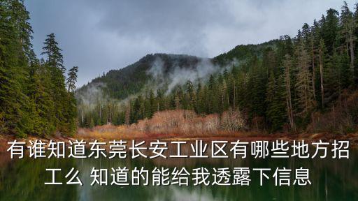 有誰知道東莞長安工業區有哪些地方招工么 知道的能給我透露下信息