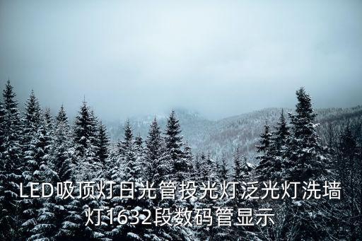 深圳市龍燈照明有限公司，LED吸頂燈日光管投光燈泛光燈洗墻燈1632段數(shù)碼管顯示