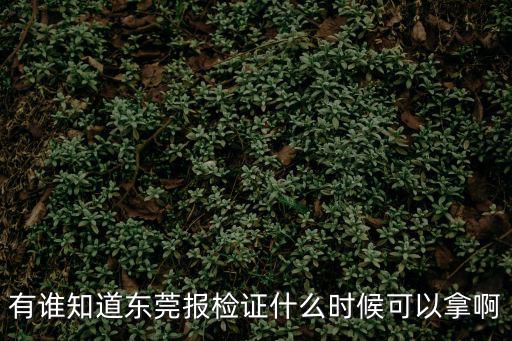 有誰(shuí)知道東莞報(bào)檢證什么時(shí)候可以拿啊