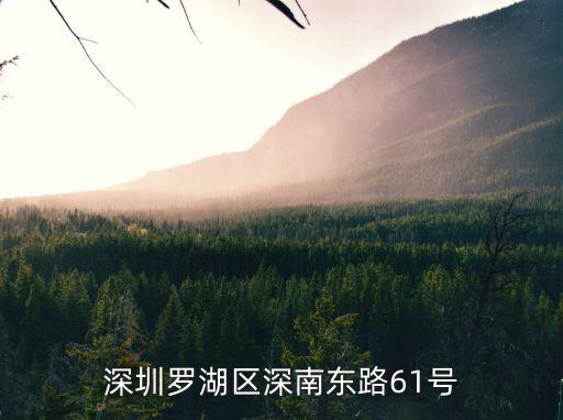 深圳羅湖區(qū)深南東路61號(hào)