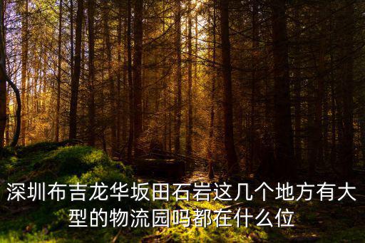 深圳布吉龍華坂田石巖這幾個(gè)地方有大型的物流園嗎都在什么位