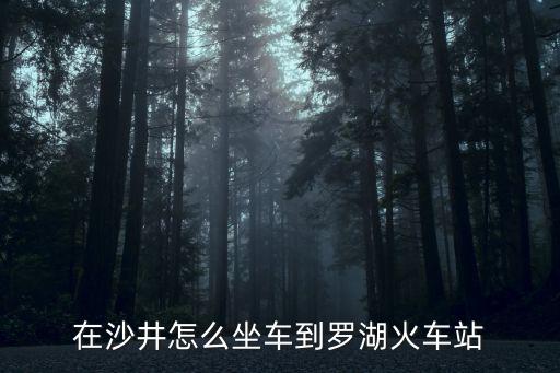 深圳沙井到羅湖，怎么從深圳沙井到深圳羅湖汽車站高鐵 動車都可以 謝謝