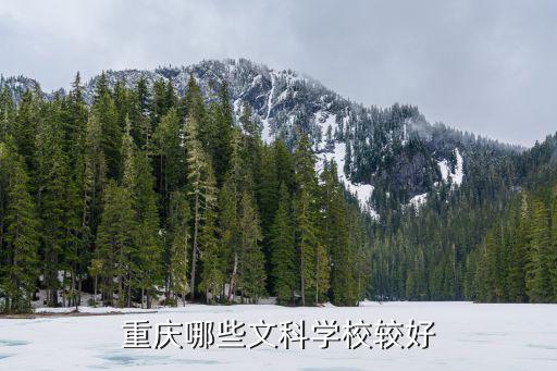 重慶哪些文科學校較好