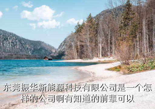 東莞振華新能源科技有限公司是一個怎樣的公司啊有知道的前輩可以