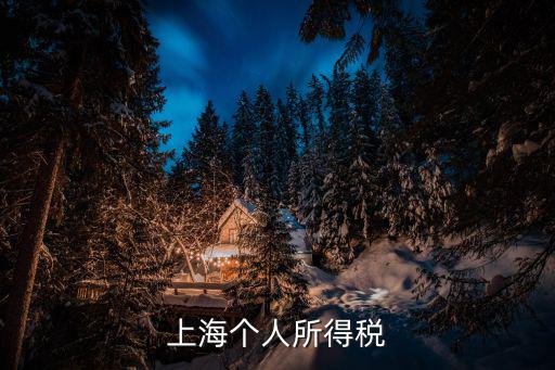 上海個人所得稅