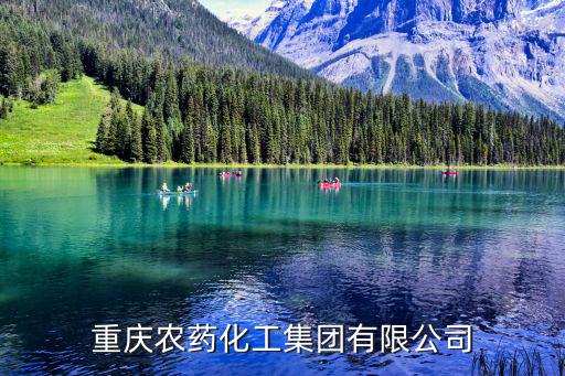 重慶市農資集團，重慶農藥化工集團有限公司