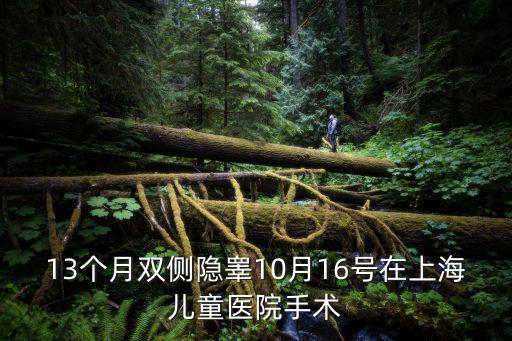 13個(gè)月雙側(cè)隱睪10月16號(hào)在上海兒童醫(yī)院手術(shù)