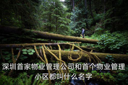 深圳首家物業管理公司和首個物業管理小區都叫什么名字