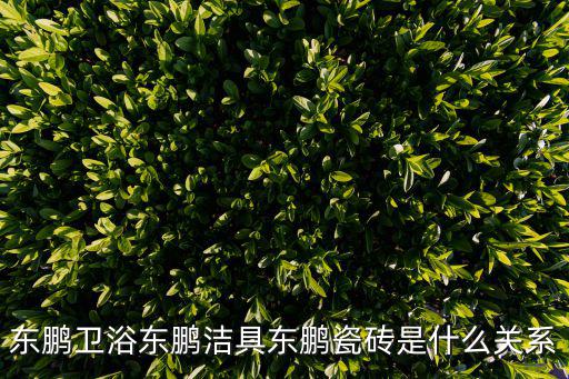 東鵬衛浴東鵬潔具東鵬瓷磚是什么關系