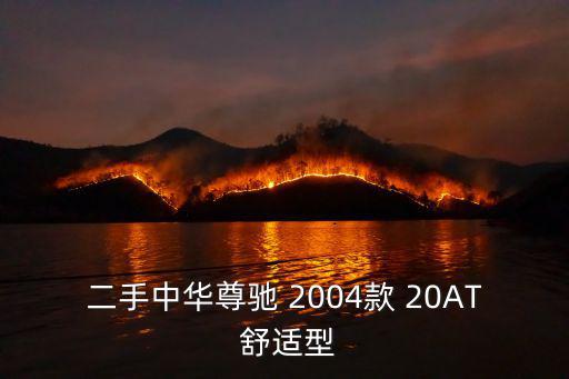 二手中華尊馳 2004款 20AT 舒適型