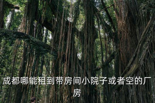 成都哪能租到帶房間小院子或者空的廠房