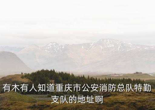 有木有人知道重慶市公安消防總隊特勤支隊的地址啊