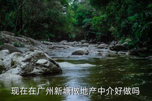 現在在廣州新塘做地產中介好做嗎
